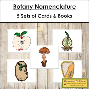 Botanik Nomenklatur 3-teilige Karten & Bücher Nomenklatur Bundle Set 2 - Druckbare Montessori Materialien - Digitaler Download