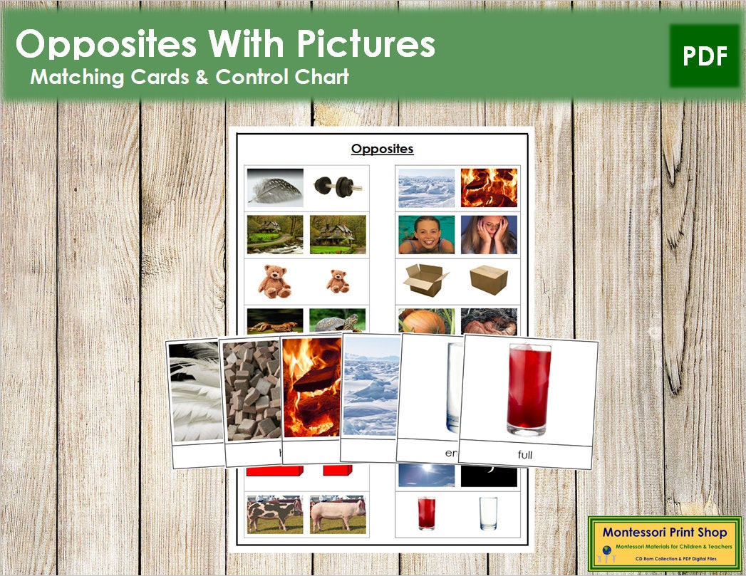 Opposites Matching Cards and Control Chart Antonyms Etsy