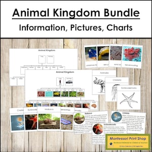 Pacchetto Animal Kingdom - Zoologia Montessori - Carte Montessori stampabili - Download digitale