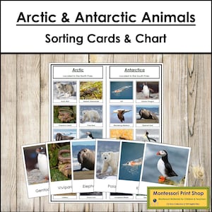 Tarjetas de clasificación y tabla de control de animales del Ártico y la Antártida - Zoología - Tarjetas Montessori imprimibles - Descarga digital