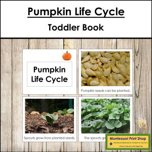 Libro sul ciclo vitale della zucca - Materiali Montessori stampabili per bambini - Download digitale