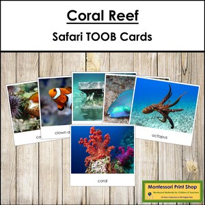 Coral Reef Safari TOOB Cards - Montessori 3-Part Cards (Digital Download)