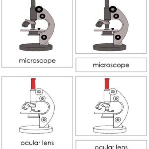 Parts of a Microscope Nomenclature 3-part Cards & Blackline Master (red ...