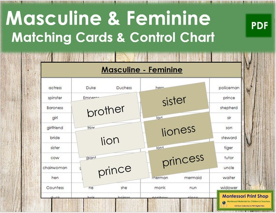 Masculine & Feminine Matching Grammar - Etsy España