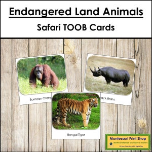 Cartões TOOB Safari de espécies terrestres ameaçadas - Cartões Montessori para impressão - Download digital