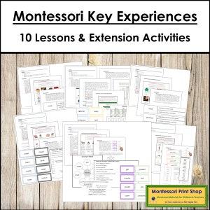 Lot d'expériences clés pour le primaire - grammaire et langue Montessori pour le primaire - cartes Montessori imprimables - téléchargement numérique