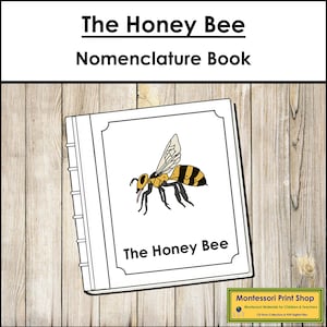 Partes de una abeja: Libro de nomenclatura - Zoología Montessori (Descarga digital)