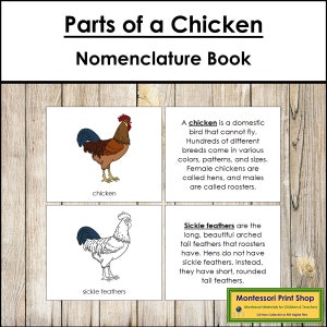 Parts of a Chicken Nomenclature Book - Montessori Zoology - Printable Montessori Materials - Digital Download