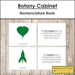 Libro de nomenclatura del gabinete de botánica Montessori - Ciencia Montessori - Tarjetas Montessori imprimibles - Descarga digital