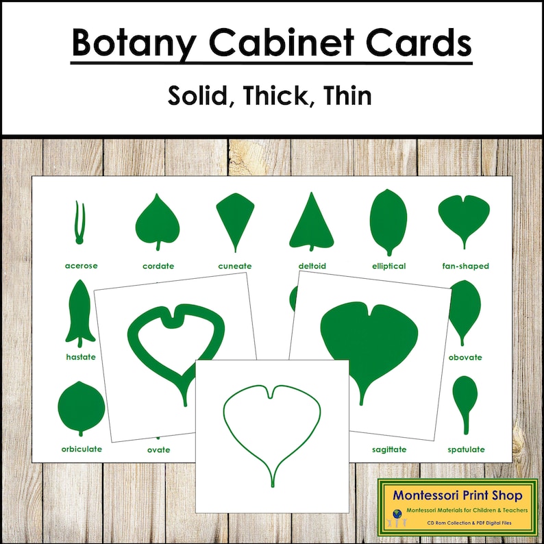 Montessori Leaf Shapes Cards & Chart [solid, Thick-lined, Thin-lined ...