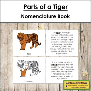 Parts of a Tiger Nomenclature Book - Zoology - Printable Montessori Materials - Digital Download