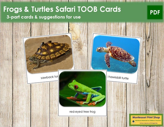 Frogs &amp; Turtles Safari TOOB Cards Printable Montessori Cards | Etsy
