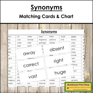 Sinónimos - Gramática Montessori - Materiales Montessori Imprimibles - Descarga Digital