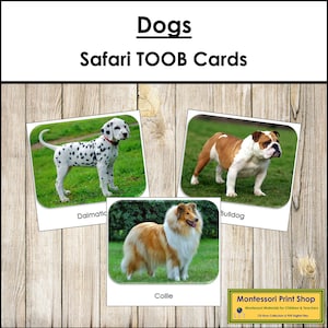 Carte TOOB Dogs Safari - Carte Montessori stampabili - Download digitale