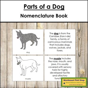 Parts of a Dog Nomenclature Book - Montessori Zoology - Printable Montessori Materials - Digital Download