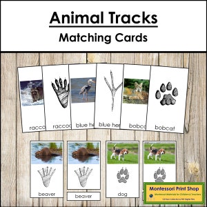 Tierspuren Passende Karten (Fußabdrücke) - Zoologie - Montessori Karten - Digital Download