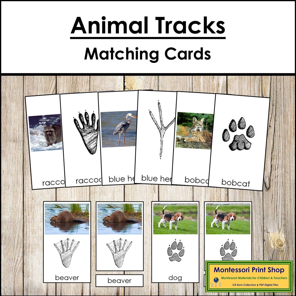Animal Tracks Print Animal Tracks of the Woodland Printable Animal