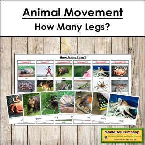 Beweging van dieren: hoeveel poten? - Dierkunde - Afdrukbare montessorikaarten - Digitale download