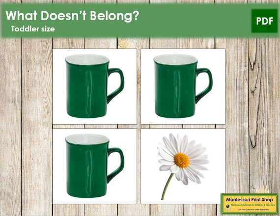 What Doesn't Belong Cards Printable Toddler Montessori - Etsy
