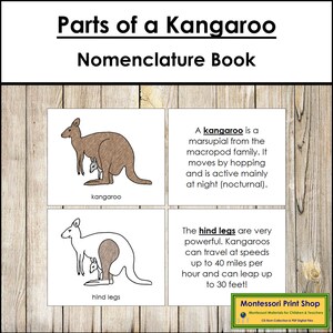 Teile eines Känguru Nomenklaturbuches - Montessori Zoologie - Druckbare Montessori Materialien - Digitaler Download