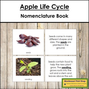 The Apple Life Cycle Book - Montessori Nomenclature - Printable Montessori Materials - Digital Download