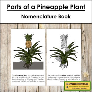 Parts of a Pineapple Plant Nomenclature Book - Montessori Botany - Printable Montessori Materials - Digital Download