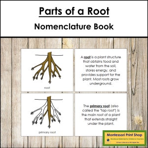 Parts of a Root Nomenclature Book - Montessori Botany - Printable Montessori Materials - Digital Download