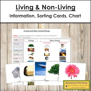 Levende en niet-levende sorteerkaarten en controlekaart - wetenschap - afdrukbaar montessorimateriaal - digitale download