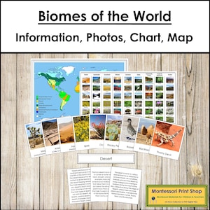 Biomes of the World Sorting Cards, Chart and Information - Montessori Zoology Activity (Digital Download)