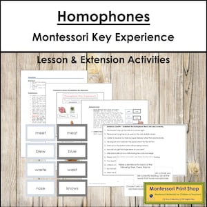 Expérience clé homophones - langue et grammaire Montessori élémentaires - cartes Montessori imprimables - téléchargement numérique
