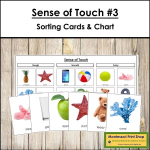 Sense of Touch Sortierkarten & Kontrollkarte Set 3 - Wissenschaft - Druckbare Montessori Karten - Digitaler Download