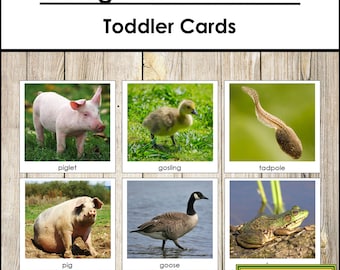 Young & Adult Animal Matching Cards - Printable Toddler Montessori Materials - Digital Download