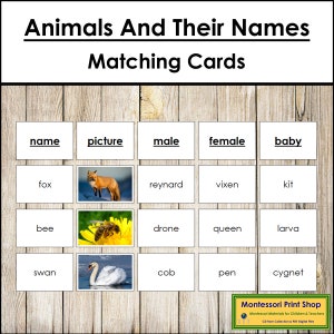 Animaux et leurs noms - Zoologie - Cartes Montessori imprimables - Téléchargement numérique