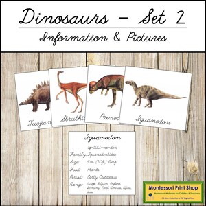 Set di carte sui dinosauri 2 (corsivo) - Montessori Science & Zoology - Carte Montessori stampabili - Download digitale