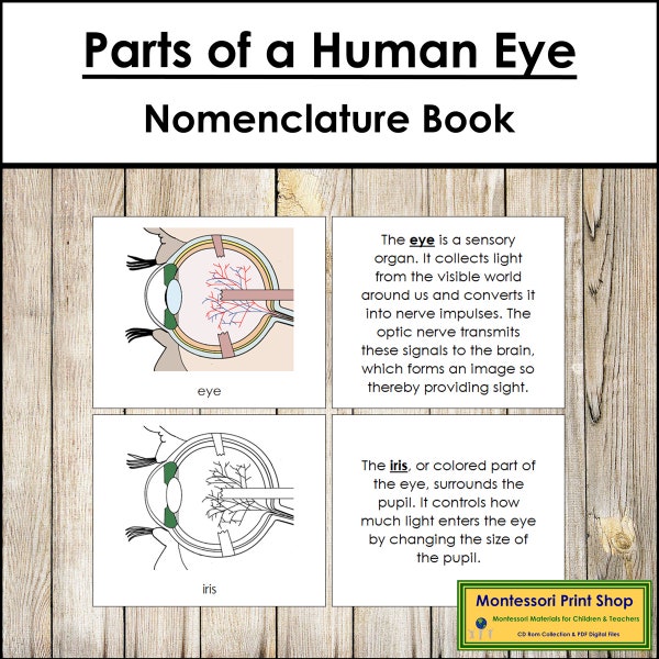Parties d'un livre de nomenclature de l'œil humain - Science - Matériaux Montessori imprimables - Téléchargement numérique