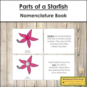 Libro sulla nomenclatura delle parti di una stella marina - Zoologia - Materiali Montessori stampabili - Download digitale