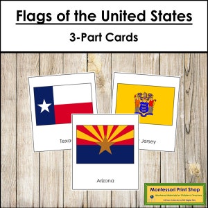 Bandiere degli Stati Uniti d'America - Carte Montessori sui continenti - Geografia - Carte Montessori stampabili - Download digitale