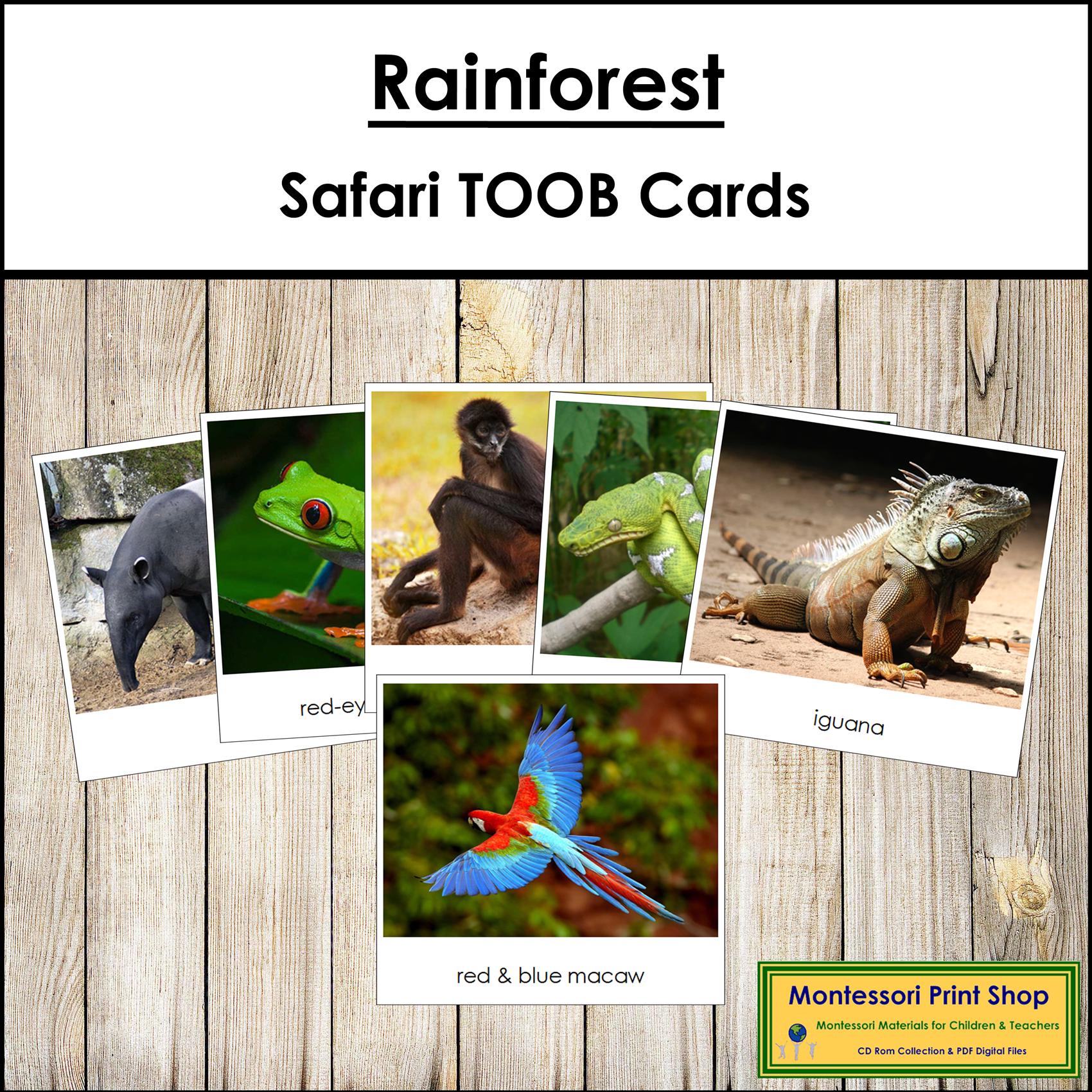 Rainforest Safari TOOB Cards - Montessori 3-part Cards (digital ...