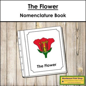 Livro de Nomenclatura das Partes de uma Flor - Botânica Montessori (Download Digital)