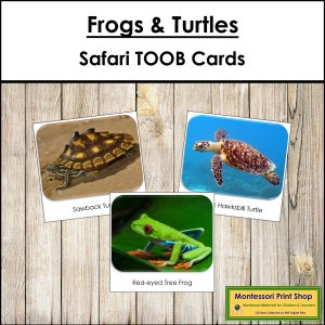 Carte TOOB Safari rane e tartarughe - Carte Montessori stampabili - Download digitale