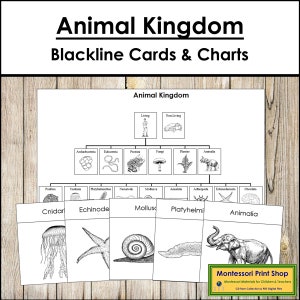 Grafici e carte del regno animale (Blackline Masters) - Zoologia Montessori - Carte Montessori stampabili - Download digitale