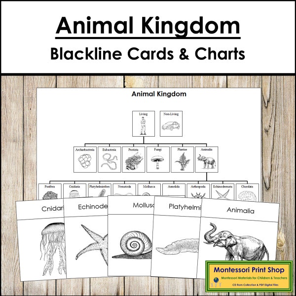 Animal Kingdom Charts & Cards (Blackline Masters) - Montessori Zoology - Printable Montessori Cards - Digital Download