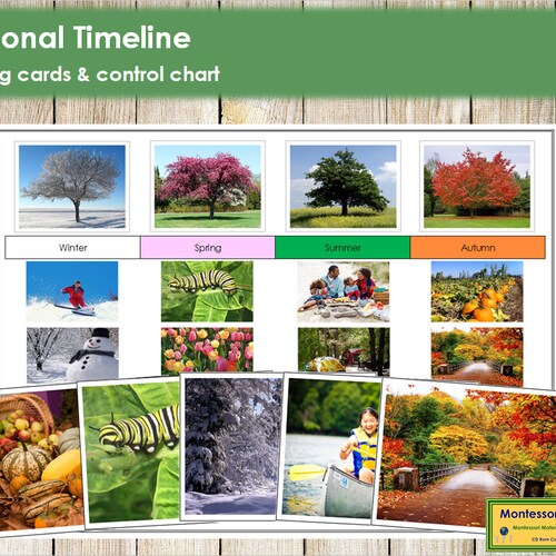 Seasonal Timeline Sorting Cards &amp; Control Chart Preschool - Etsy