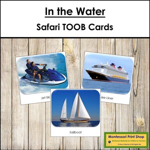 In The Water Safari TOOB Cards - Cartes Montessori imprimables - Téléchargement numérique
