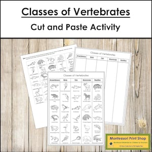 Classes of Vertebrates Sorting Cut & Paste [Blackline Masters] - Montessori Zoology Activity (Digital Download)