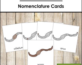 Parts of a Worm Nomenclature 3-Part Cards & Blackline Master - Montessori Zoology (Digital Download)