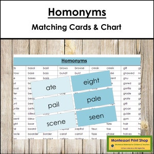Homónimos (codificados por colores) - Gramática Montessori - Materiales Montessori imprimibles - Descarga digital