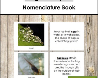 The Frog Life Cycle Book - Montessori Nomenclature - Printable Montessori Materials - Digital Download