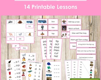 Montessori Pink Phonetic Language Series  Bundle (PHOTOS) - Primary Phonics - Printable Montessori Cards - Digital Download