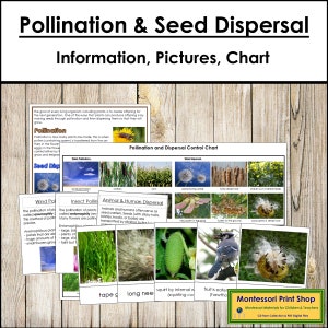 Pollination and Seed Dispersal Information & Photographs - Montessori Science - Printable Montessori Cards - Digital Download